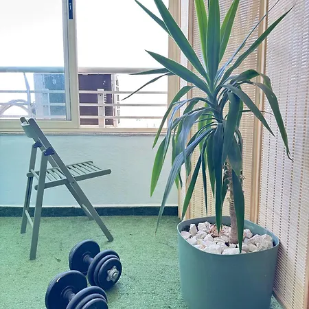 Elis بيت ضيافة تيرانا