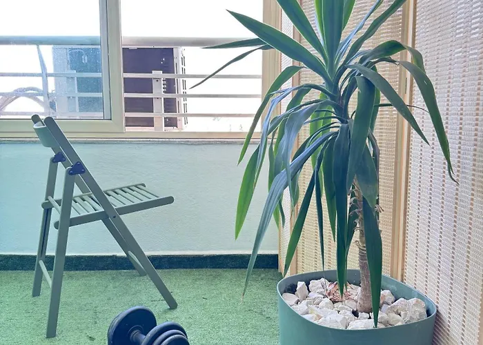 Elis بيت ضيافة تيرانا